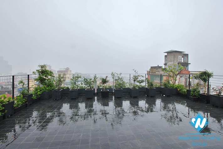 Super modern with lake view duplex to lease in Tay Ho district
